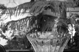  Watersplash