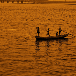 This photograph, bathed in a rich amber hue, captures a serene and nostalgic moment of a small boat carrying a group of fisherman on the Godavari. A long bridge stretches in the background and the silhouettes of the men are striking against the golden water, where ripples create a sense of gentle movement.