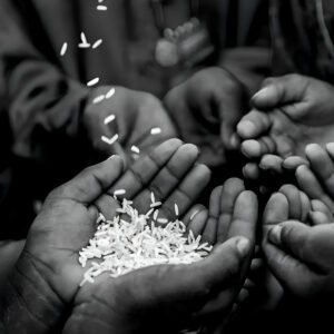 A black-and-white image showing several outstretched hands receiving grains of rice.