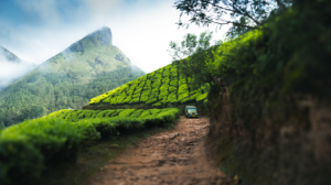 R.P Dhinesh | Disability – Person with speech and hearing impairment | India