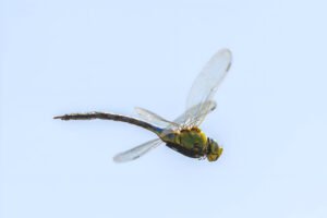 Light as Hope by Francisco Álvarez Pérez -  Global Ability Photography Challenge 