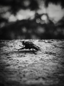 By Mohamed Riyas | Disability – Person with Speech and Hearing Impairment | India