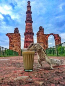 Mohammad Rashid | Disability – Person with Locomotor Disability | India