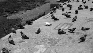 Varun Naren | Disability – Person with Fragile X syndrome | Mumbai – India