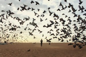 Venkatesh Kannan | Disability – Person with Speech and Hearing Impairment | Chennai – India