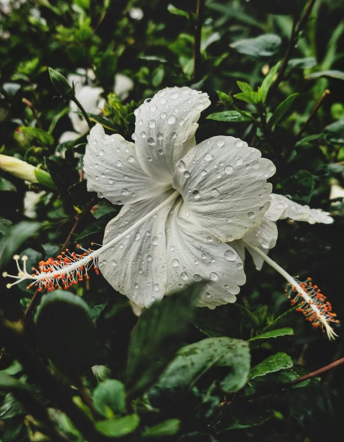 Adike Sandeep | Disability – Person with speech and hearing impairment | India