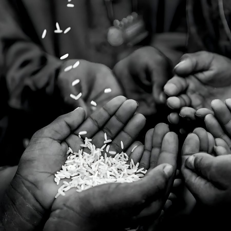   The gift of sharing by hope in every grain. - Mantu Khot -  Global Ability Photography Challenge 