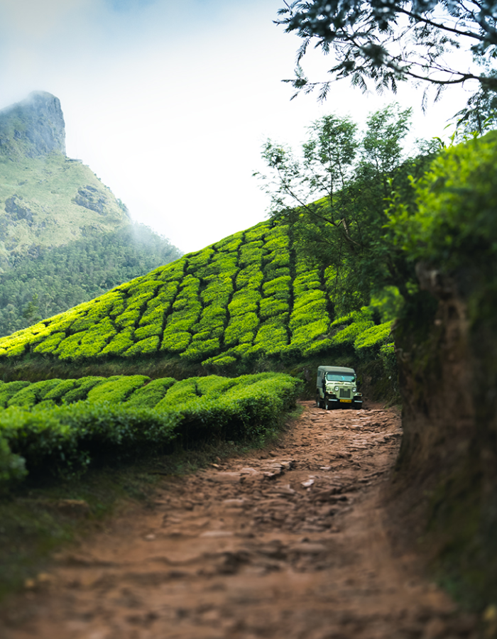 R.P Dhinesh | Disability – Person with speech and hearing impairment | India