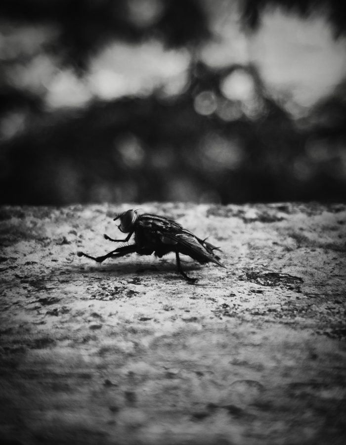 By Mohamed Riyas | Disability – Person with Speech and Hearing Impairment | India