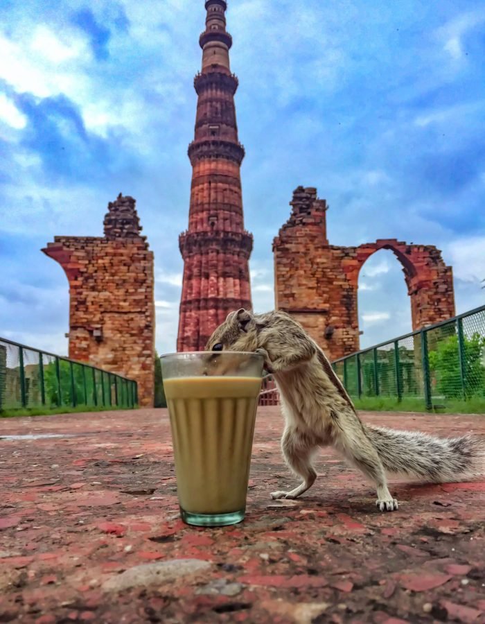 Mohammad Rashid | Disability – Person with Locomotor Disability | India