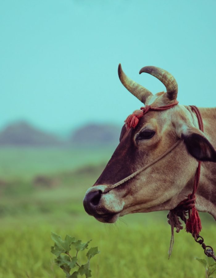 Sathish Kumar V | Disability – Person with speech and hearing impairment | India