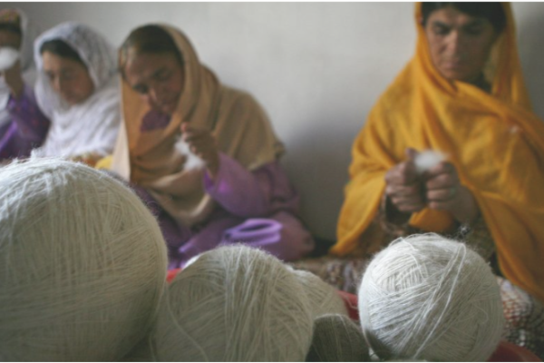 How Youth4jobs Is Empowering Disabled Youth in India