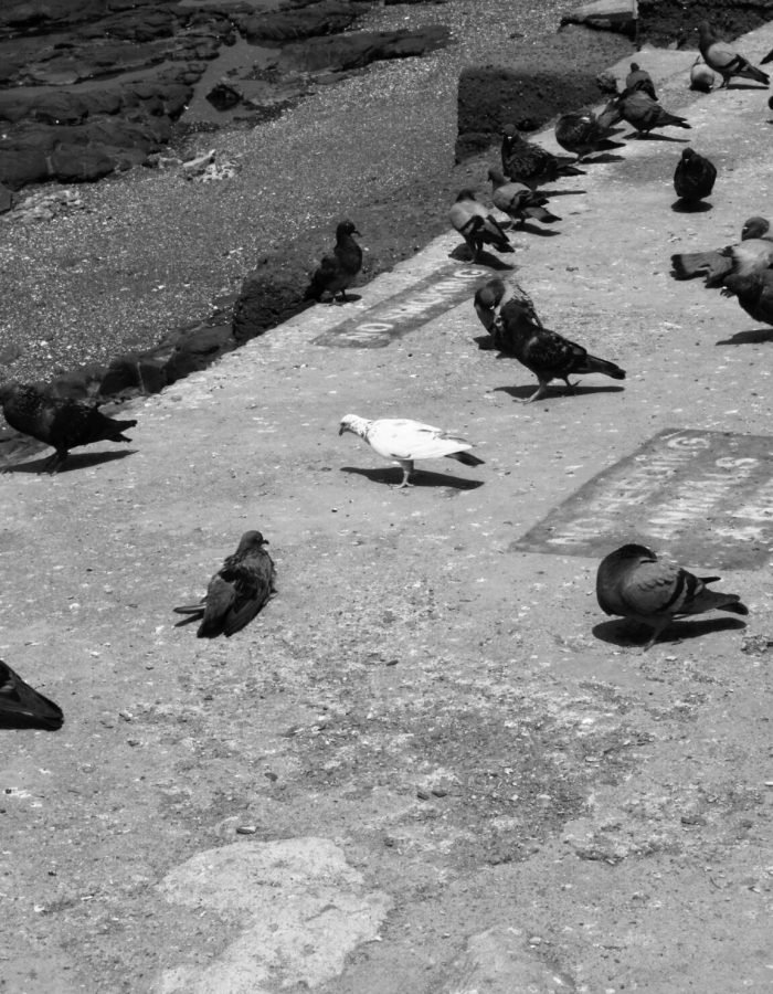 Varun Naren | Disability – Person with Fragile X syndrome | Mumbai – India